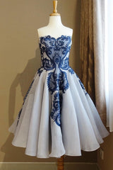 Blue Lace Tulle Short Prom Dress Blue Lace Homecoming Dress