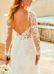 Elegant Lace/Tulle Wedding Dresses with Long Sleeves and V-Neck