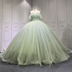 Sage Quinceanera Dress Sweet 15 Evening Dress Crystal Sleeveless Beading Ball Gown Dress