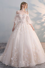 Light Champagne Tulle Lace Appliqu¨¦ Long Prom Dress Champagne Wedding Dress