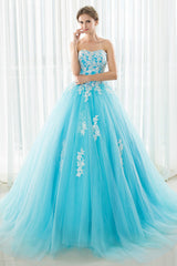 Blue Tulle Lace Appliqu¨¦ Long Prom Dress Blue Evening Dress