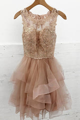 Champagne Round Neck Lace Tulle Short Prom Dress Homecoming Dress