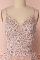 Pink V-Neck Tulle Lace Applique Long Prom Dress Pink Evening Dress