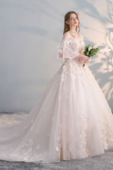 Light Champagne Tulle Lace Appliqu¨¦ Long Prom Dress Champagne Wedding Dress