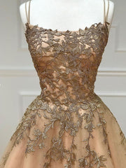 Champagne Tulle Lace Long Prom Dress Backless Champagne Graduation Dress