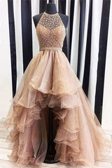 Champagne Tulle Beads High Low Prom Dress Champagne Evening Dress