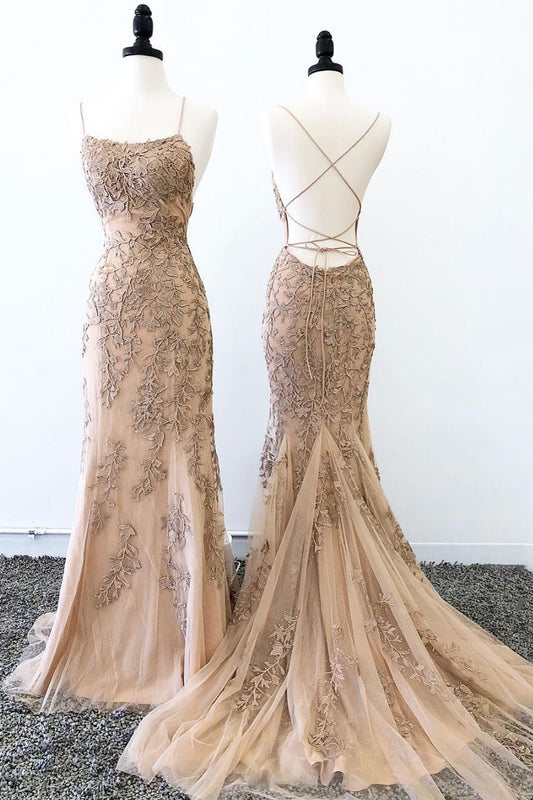 Champagne Tulle Lace Long Prom Dress Champagne Evening Dress