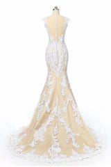 Unique Champagne Tulle Lace Long Prom Dress Champagne Wedding Dress