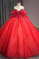 Beaded Long Sleeves Quinceanera Dress Floral Applique Sequins 15 Years Birthday Party Ball Gown Dress