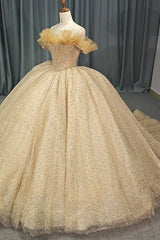 Luxury Golden Celebrity Evening Dress Prom Party Dress Sweet 16 Party Dress