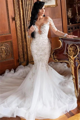 Long Sleeve Mermaid Lace Applique Wedding Dress